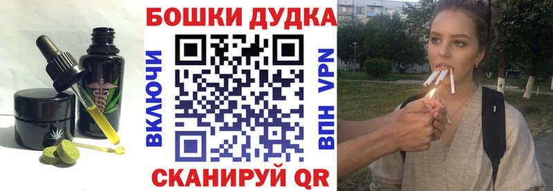 hydra как войти  Ноябрьск  Canna-Cookies марихуана 