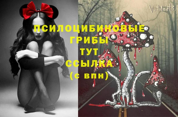 ECSTASY Михайловск