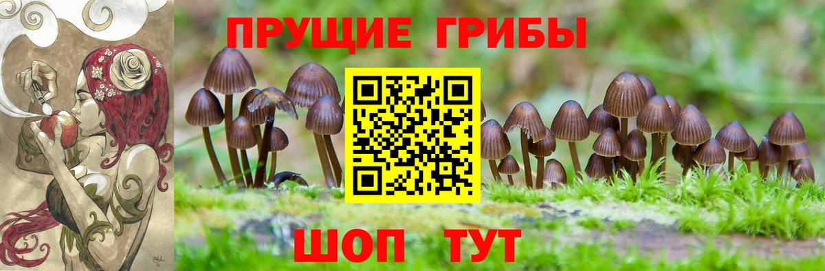 наркотики  Вход с VPN  Галлюциногенные грибы прущие грибы  Ноябрьск  Псилоцибиновые грибы Psilocybine cubensis 